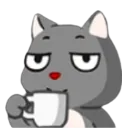 gatocafe gatocafe