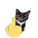 FYOUcat