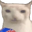 nbkguaMunch