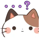 confused_cat