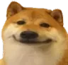 DogeSmiling