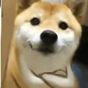 :wah_bkl: