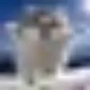 YPE