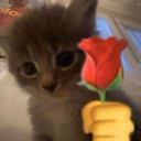 rosecat Discord emoji
