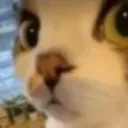 car_unsure_stare