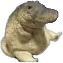 crocgu crocgu