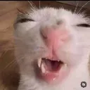emoji_100