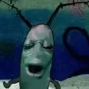 chinesePlankton