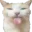 sterry