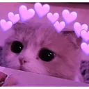 cat_cute