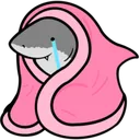 sharkblanketcry