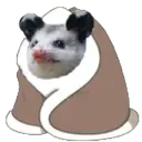 comfyneet