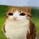 cowl