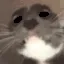AREYOUAGIRL