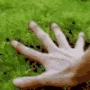 1TouchSomeGrass