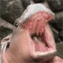 hipposcream hipposcream