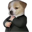 Business