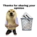 niceopinion niceopinion