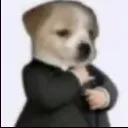 ALTRD_dog_arrumado