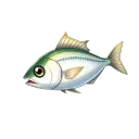 sardella