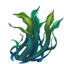seaweed