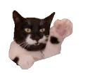 zeldawave zeldawave