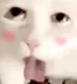 CatAheGato