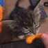 cheeto cheeto