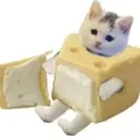 queso
