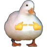 gooseshy Discord emoji