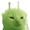 Glorp