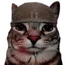 warcatstare