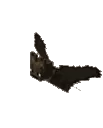 emoji_64