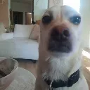 Bruhno