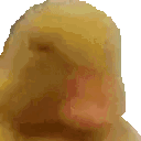 SMH animated emote | 🛕𝗭𝗼𝗱𝗶𝗮𝗻 𝗘𝗺𝗽𝗶𝗿𝗲🛕