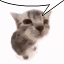 Discord Emote Br_catexplode: