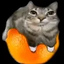Orangcat Orangcat