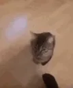 boing