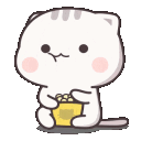 Catpopcorn Discord emoji