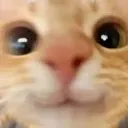 3_ 3_