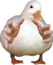 goosegrab