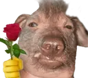 creatureRose creatureRose