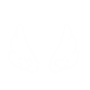 Wings1White