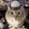 soundthecaralarm Discord emoji