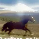 imfree