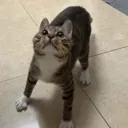 surprise
