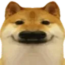 doggysmurkw