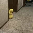 RUN RUN