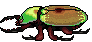 xbeetle Discord emoji