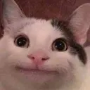 Eee Eee